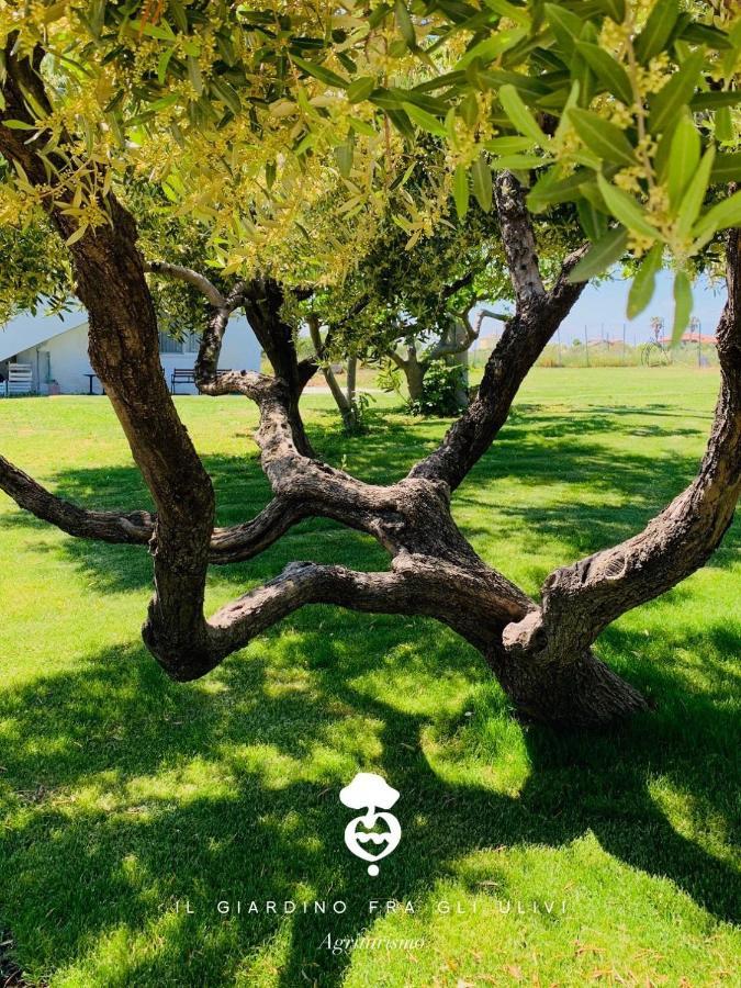 فيلا Relais Il Giardino Fra Gli Ulivi تورينو دي سانغرو المظهر الخارجي الصورة